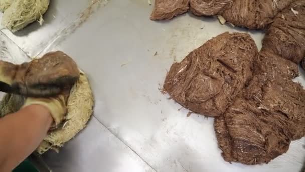 Trabalhador de confeitaria misturar manualmente dois tipos de halva de girassol . — Vídeo de Stock