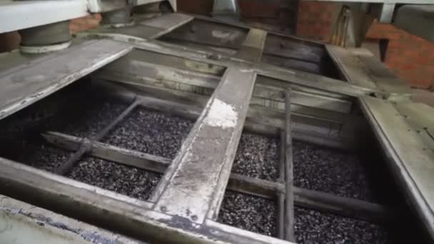 Mechanical sorter, sifter sunflower seeds at factory. seeds falling on bars. — Stock Video