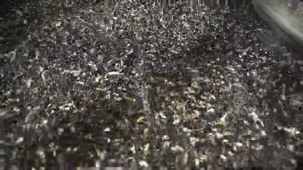 trieuse mécanique, tamiseuse de graines de tournesol en production.