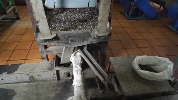 Équipement. tamiseur graines de tournesol, trieuse mécanique sur la production. — Video