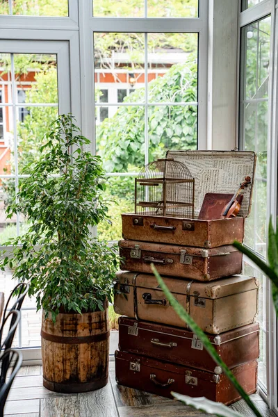 Stare walizki, cela i skrzypce. elementy dekoracyjne w stylu retro wnętrza. — Zdjęcie stockowe