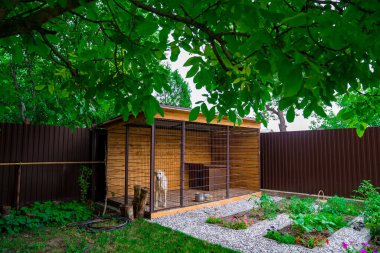 Bahçedeki kafeste beyaz köpek. Evcil hayvanlar evde