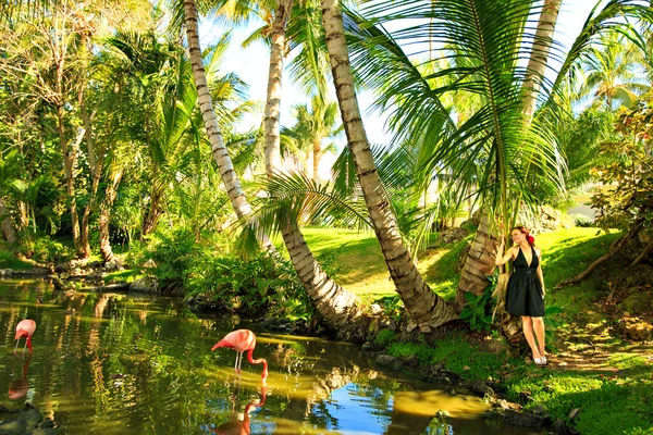 Menina fica perto de palmeira na margem da lagoa com flamingos. férias para localização exótica . — Fotografia de Stock