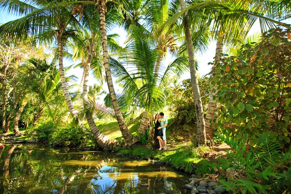 Coppia di amanti si trova sulla riva dello stagno sotto la palma — Foto Stock