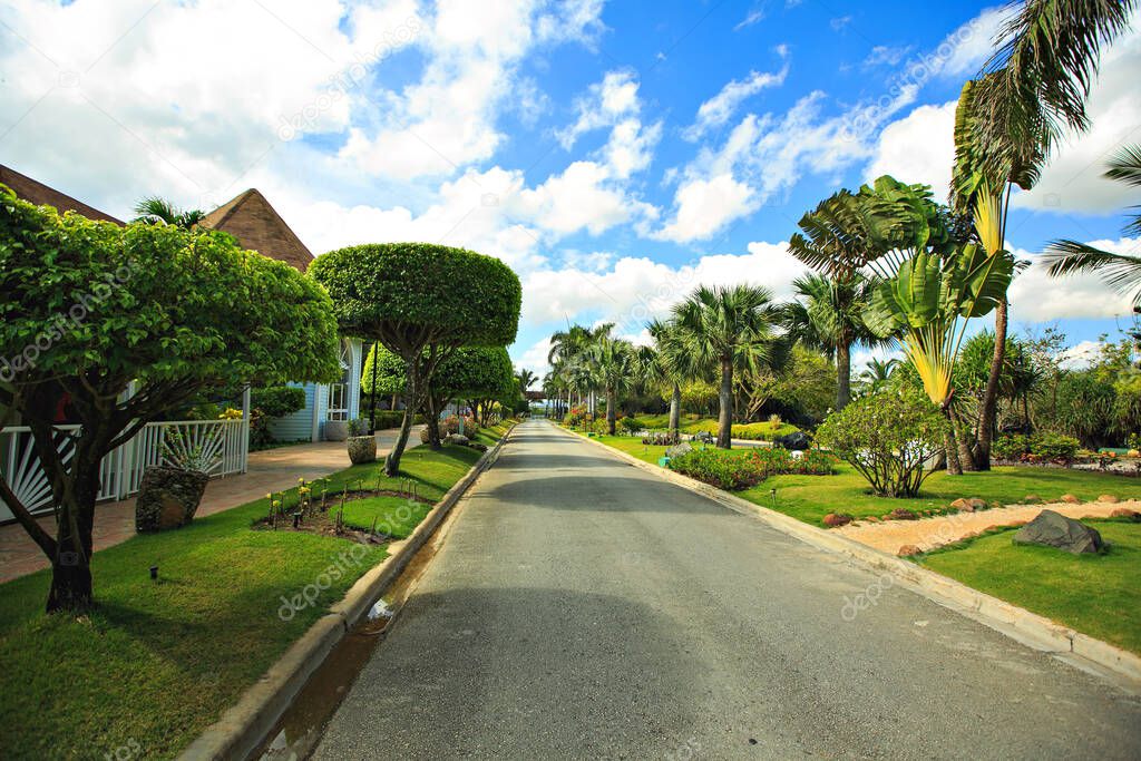 road with lawns and palm trees in tropical country