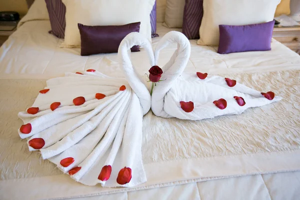 Łabędzie z ręczników z płatkami róż na łóżku. — Zdjęcie stockowe
