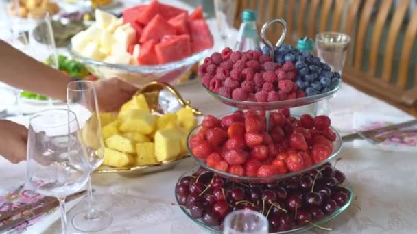 Сервировка стола для отдыха на свежем воздухе. летние закуски и фрукты. — стоковое видео