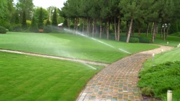 Un sistema automatico di irrigazione per l'erba sul prato. Parco in estate. — Video Stock