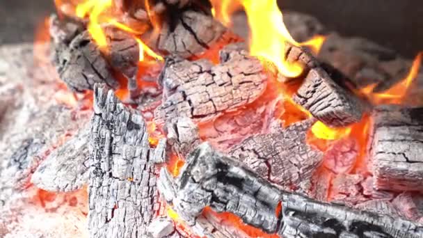Yakın plan. Barbeküde yanan odun alevleri. — Stok video
