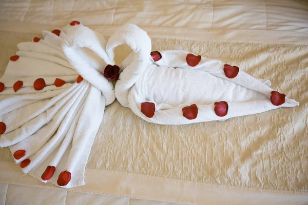 Cisnes de toallas con pétalos de rosa en la cama. — Foto de Stock