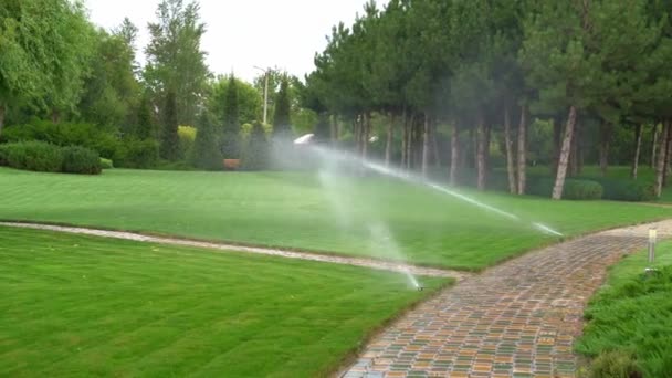 Sistema di irrigazione per erba sul prato. Parco in estate. — Video Stock