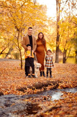 Sonbahar Parkı 'nda gezinen Retriever ailesi.