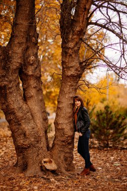 Güz Parkı 'nda, ağacın yanında güzel bir kadın..