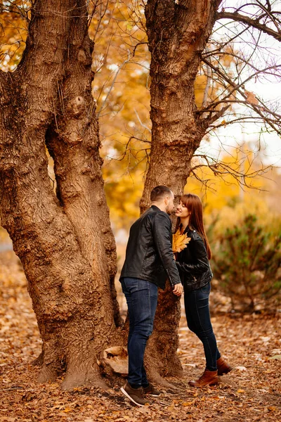 Uomo e una donna in piedi vicino all'albero in autunno Parco. — Foto Stock