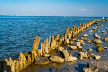 Deniz yosunları ve kayalarla kaplı tahta direkler..