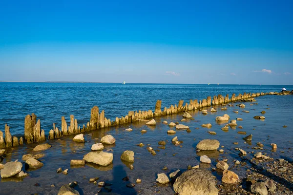 Deniz yosunları ve kayalarla kaplı tahta direkler..