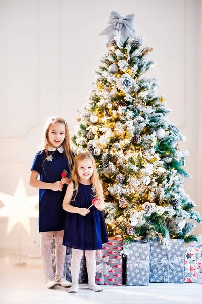 Mavili kızlar Noel ağacının arka planında.