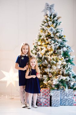 Mavili kızlar Noel ağacının arka planında.