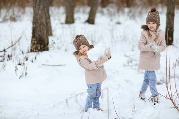 Девушки играют в зимнем лесу и делают снежные шары. — стоковое фото