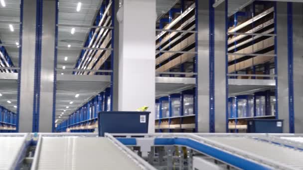 Transportband met containers in magazijn van online winkel. logistiek centrum — Stockvideo