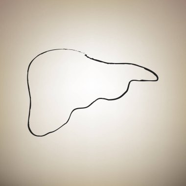 İnsan anatomisi. Karaciğer işareti. Vektör. Fırça defterlerimiz siyah kutsal kişilerin resmi vasıl li