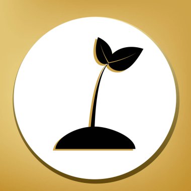 İşareti illüstrasyon filiz. Vektör. Beyaz daire şeklinde yüzük, altın arka plan ile hafif kahverengi gölgeli siyah simgesi.