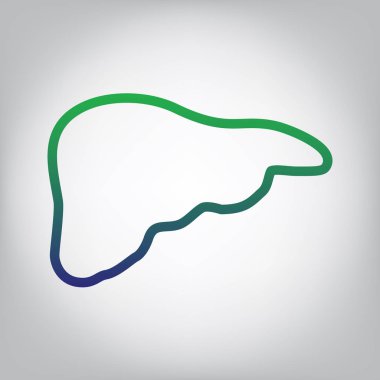 İnsan anatomisi. Karaciğer işareti. Vektör. Yeşil ışık Center'da grimsi arka plan mavi degrade kontur simgesine.