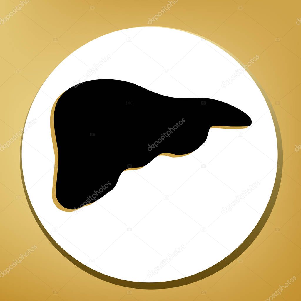 Human anatomy. Liver sign. Vector. Black icon with light brown shadow in white circle with shaped ring at golden background.