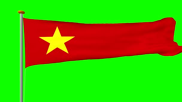 Bandera Forma Estándar Rojo Alargado Desarrolla Viento Representación Vídeo Del — Vídeo de stock