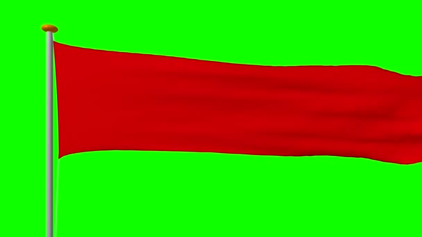 Flag Non Standard Form Elongated Red Develops Wind Rendering Video — Stock Video