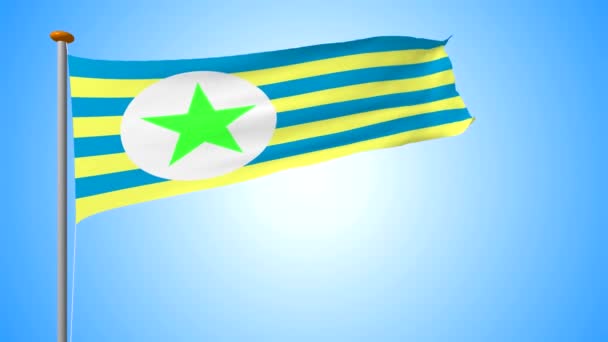 Flagge Von Ungewöhnlicher Form Länglich Mit Gelben Und Blauen Streifen — Stockvideo