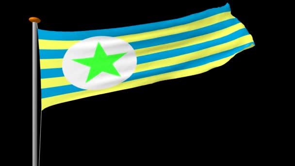 Vlajka Nestandardní Forma Prodloužený Žluté Modré Pruhy Vyvíjí Větru Vykreslování — Stock video