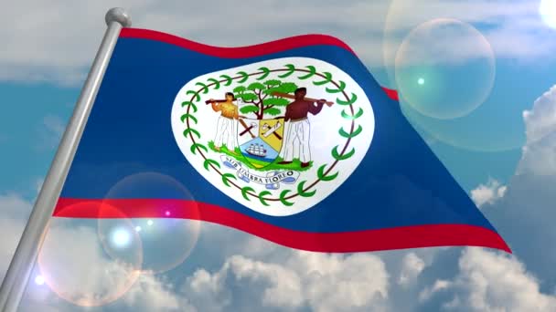 Bandiera Dello Stato Del Belize Sviluppa Nel Vento Contro Cielo — Video Stock