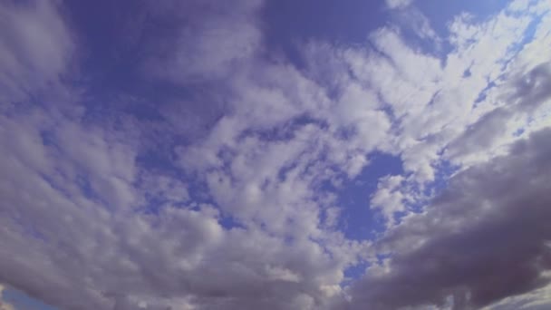 Nuvens Céu Azul Num Dia Ensolarado Tiro Acelerado Vertical Fenômenos — Vídeo de Stock