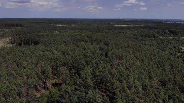 Vliegend over een dennenbos op een drone — Stockvideo