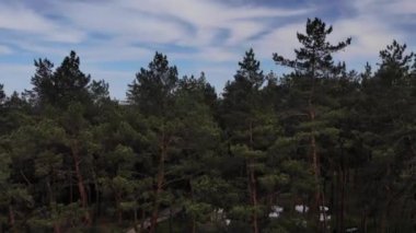  Orman ve gökyüzü İHA 'dan