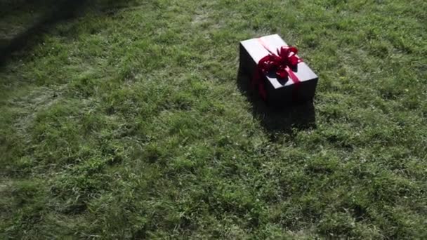 Подарунок у красивій упаковці на траві — стокове відео