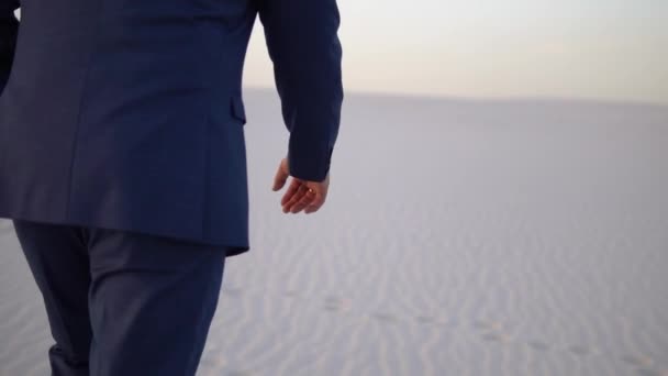 Businessman walks in the desert — Stock Video