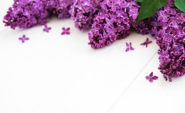 Beyaz ahşap zemin üzerinde Eflatun çiçekler