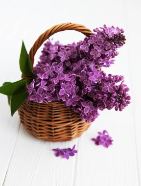 sepet ve Lila çiçek şube