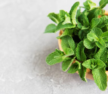 Eski bir arka plan üzerinde taze nane ile kase