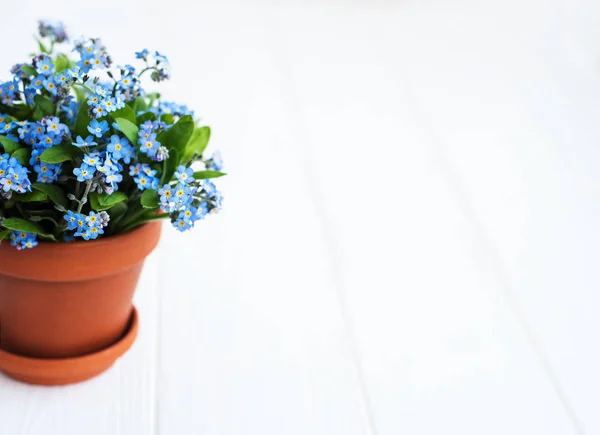 Forget Flowers Small Flower Pot Table — Stock Photo, Image