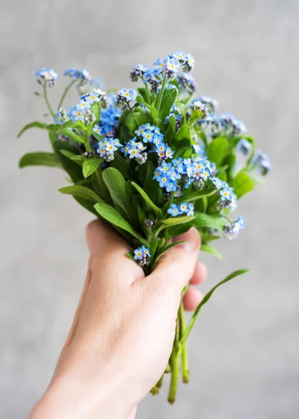Blue Forget Flowers Hand — Stock Photo, Image