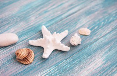 Deniz kabukları tatil arka plan olarak ahşap bir masa üzerinde