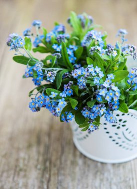 Eski masada küçük metal kova çiçeklenir unutma