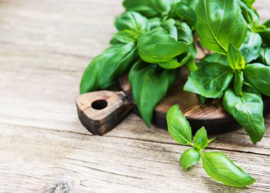 Eski bir ahşap zemin üzerine yeşil taze fesleğen bitki