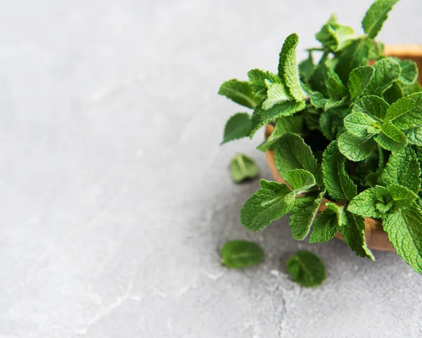 Bowl Dengan Mint Segar Latar Belakang Lama — Stok Foto