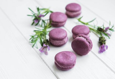 macarons lavanta lezzet ve taze lavanta çiçekleri ile Fransız