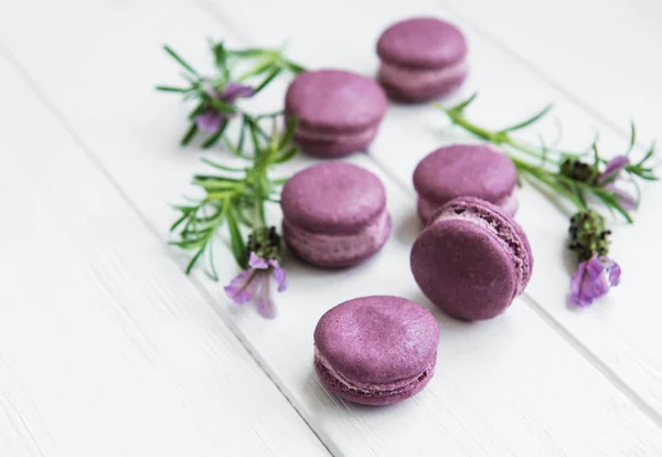 French Macarons Lavender Flavor Fresh Lavender Flowers — Stock Photo, Image