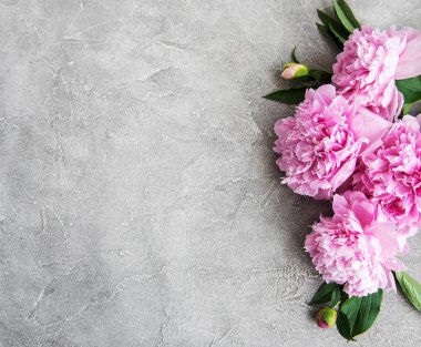 güzel pembe şakayık çiçekleri taş zemin üzerine